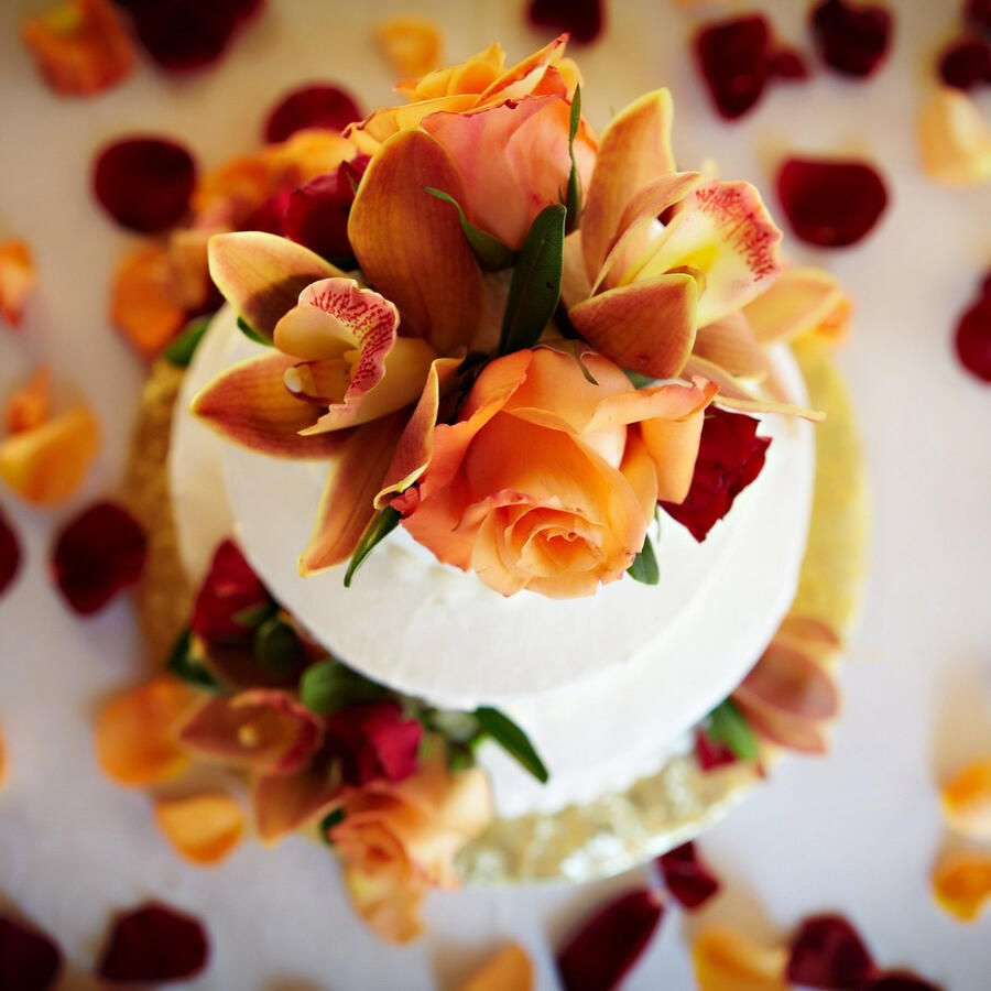 Overhead view of a white cake topped with orange roses and scattered petals